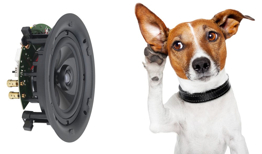 Dog-listening